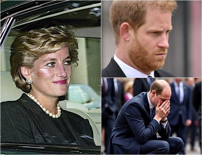 “Stay strong, my dear son…” – The letter left by Princess Diana was found, causing Harry and William to burst into tears: “We know who punctured our mother’s tire…” See more below 👇👇👇